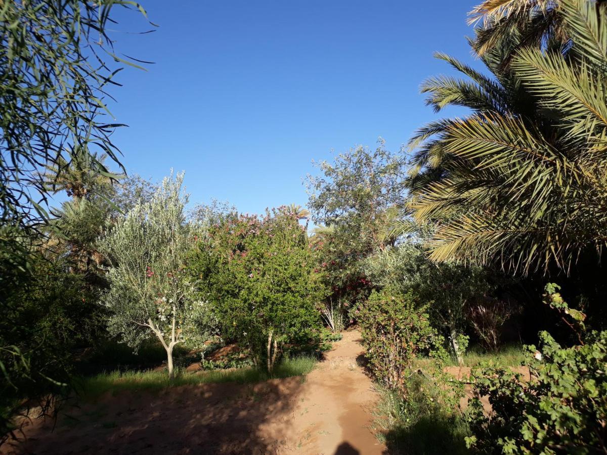 Bed and Breakfast Dar Paru à M'Hamid El Ghizlane Extérieur photo