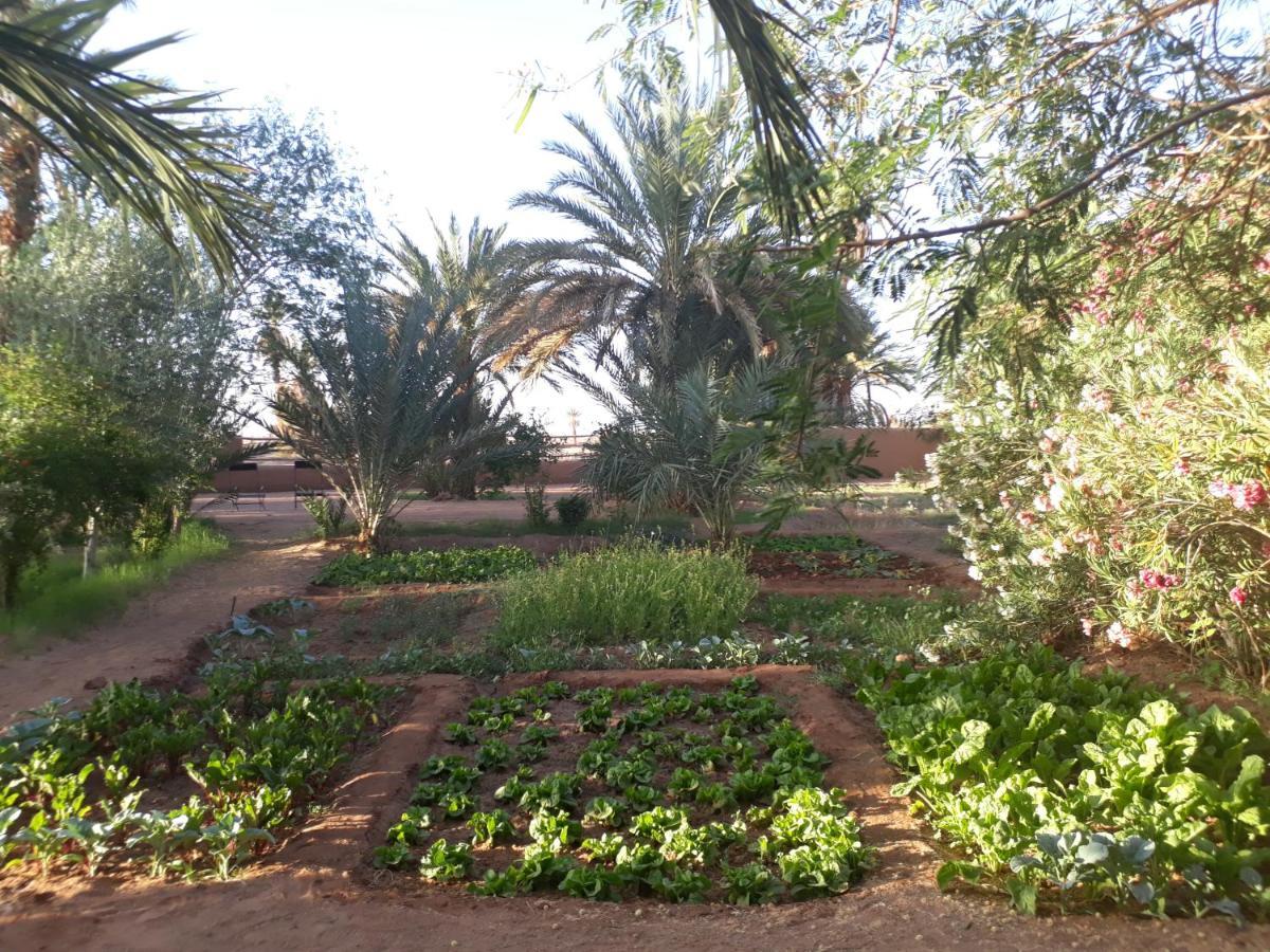 Bed and Breakfast Dar Paru à M'Hamid El Ghizlane Extérieur photo