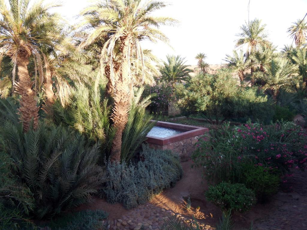 Bed and Breakfast Dar Paru à M'Hamid El Ghizlane Extérieur photo
