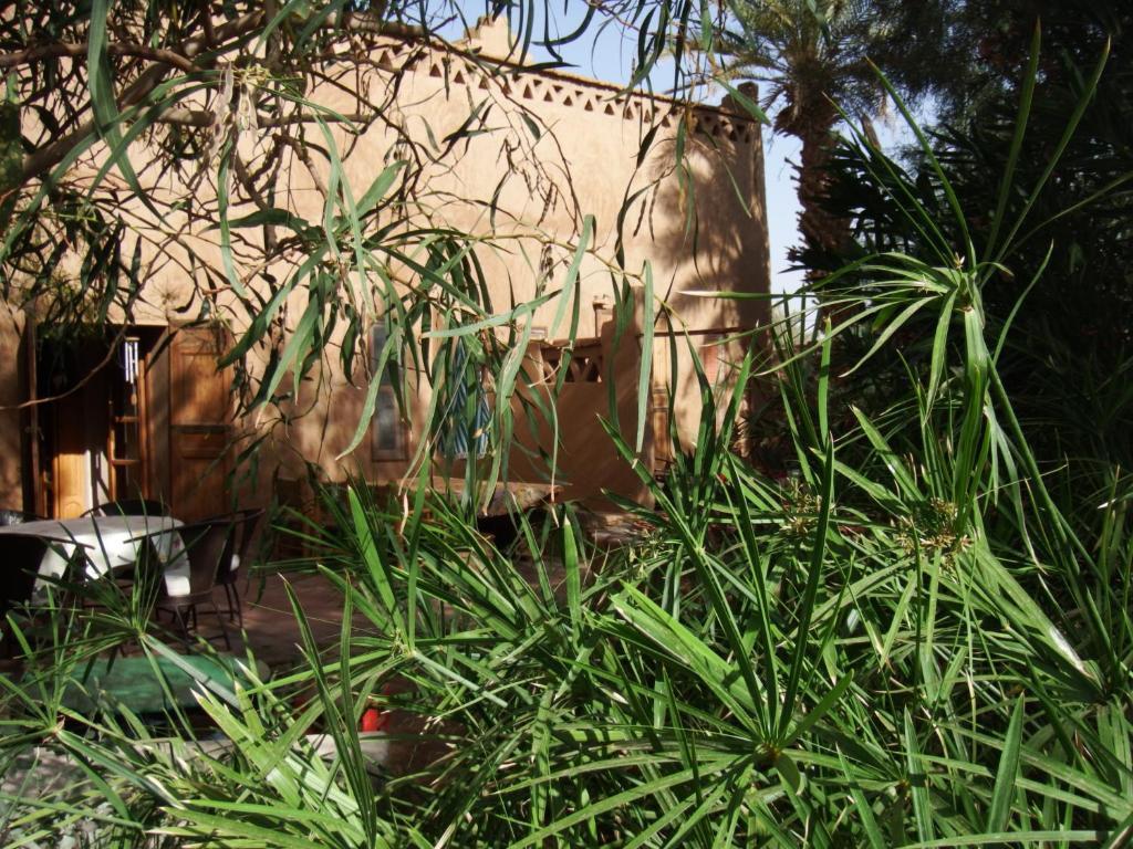 Bed and Breakfast Dar Paru à M'Hamid El Ghizlane Extérieur photo